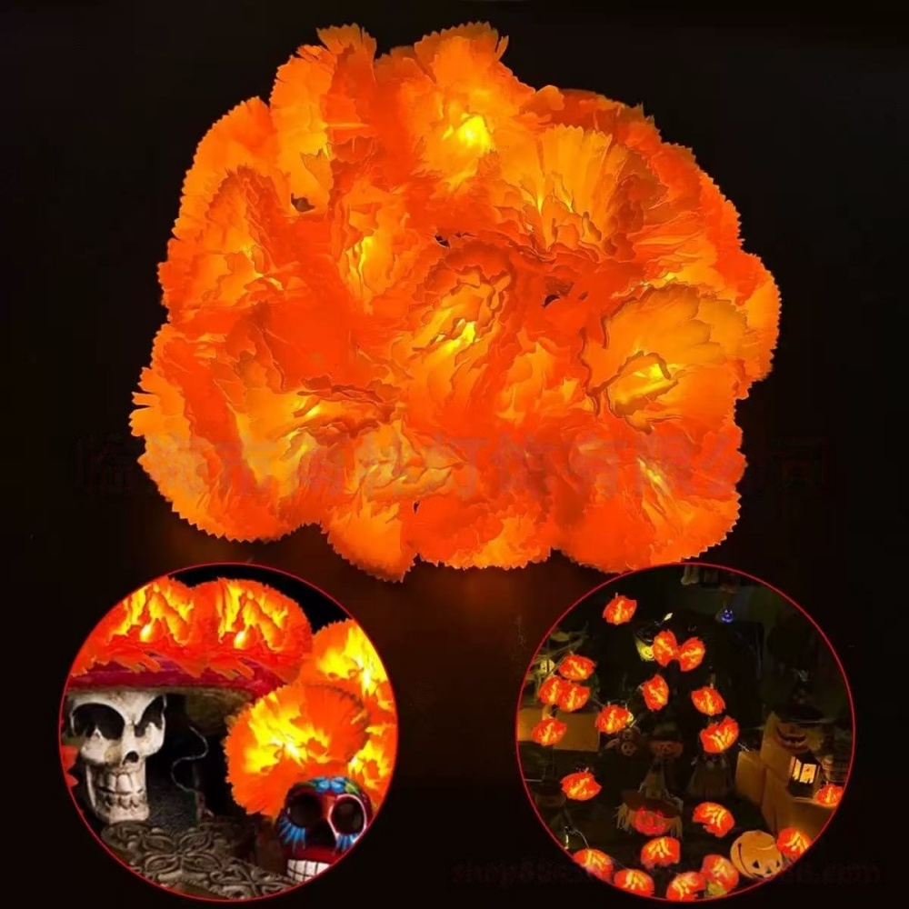Ringelblumen-LED-Lichterkette  – Halloween Led String Lights Orange Bewertung und Preis